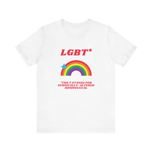 The LGBT*-Shirt