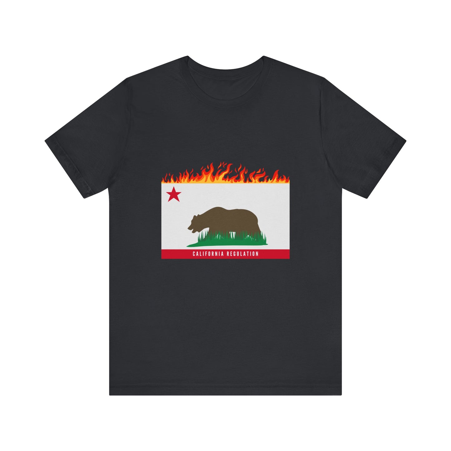 California Regulation Tee Shirt