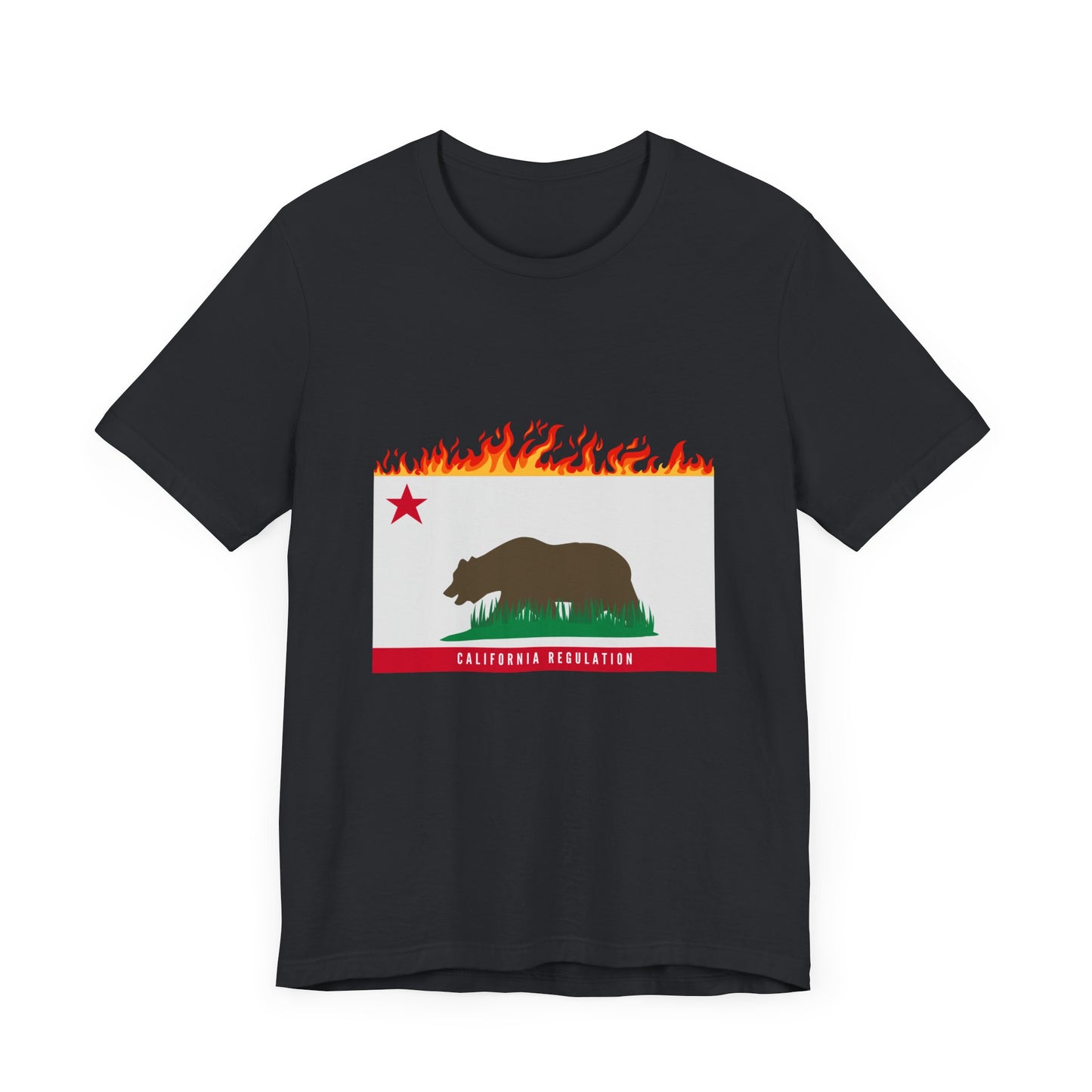 California Regulation Tee Shirt
